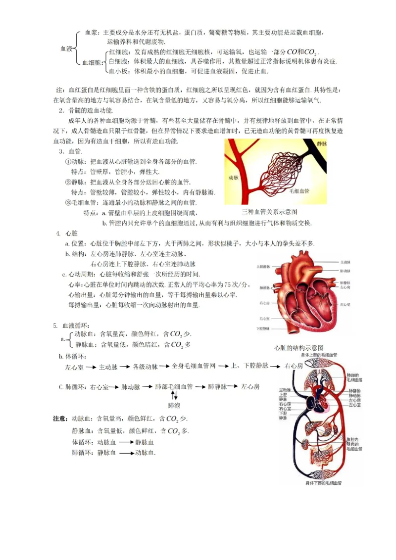 华东师大版初中科学九年级上册知识点_24秋《初中各科知识点梳理》_初中科学《知识梳理》7-9年级上下册_华师大版初中科学7-9年级上下册知识梳理