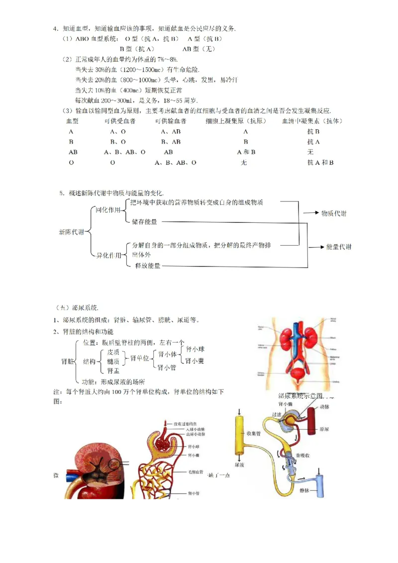 华东师大版初中科学九年级上册知识点_24秋《初中各科知识点梳理》_初中科学《知识梳理》7-9年级上下册_华师大版初中科学7-9年级上下册知识梳理