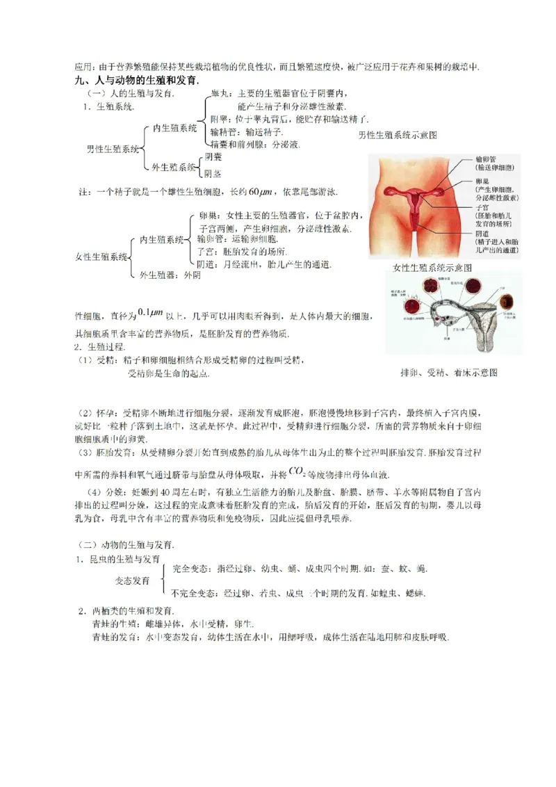 华东师大版初中科学九年级上册知识点_24秋《初中各科知识点梳理》_初中科学《知识梳理》7-9年级上下册_华师大版初中科学7-9年级上下册知识梳理