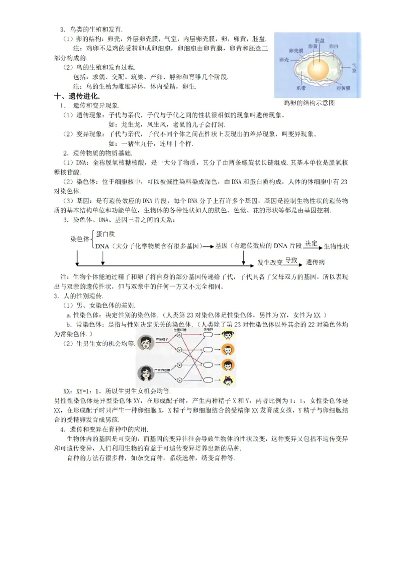 华东师大版初中科学九年级上册知识点_24秋《初中各科知识点梳理》_初中科学《知识梳理》7-9年级上下册_华师大版初中科学7-9年级上下册知识梳理