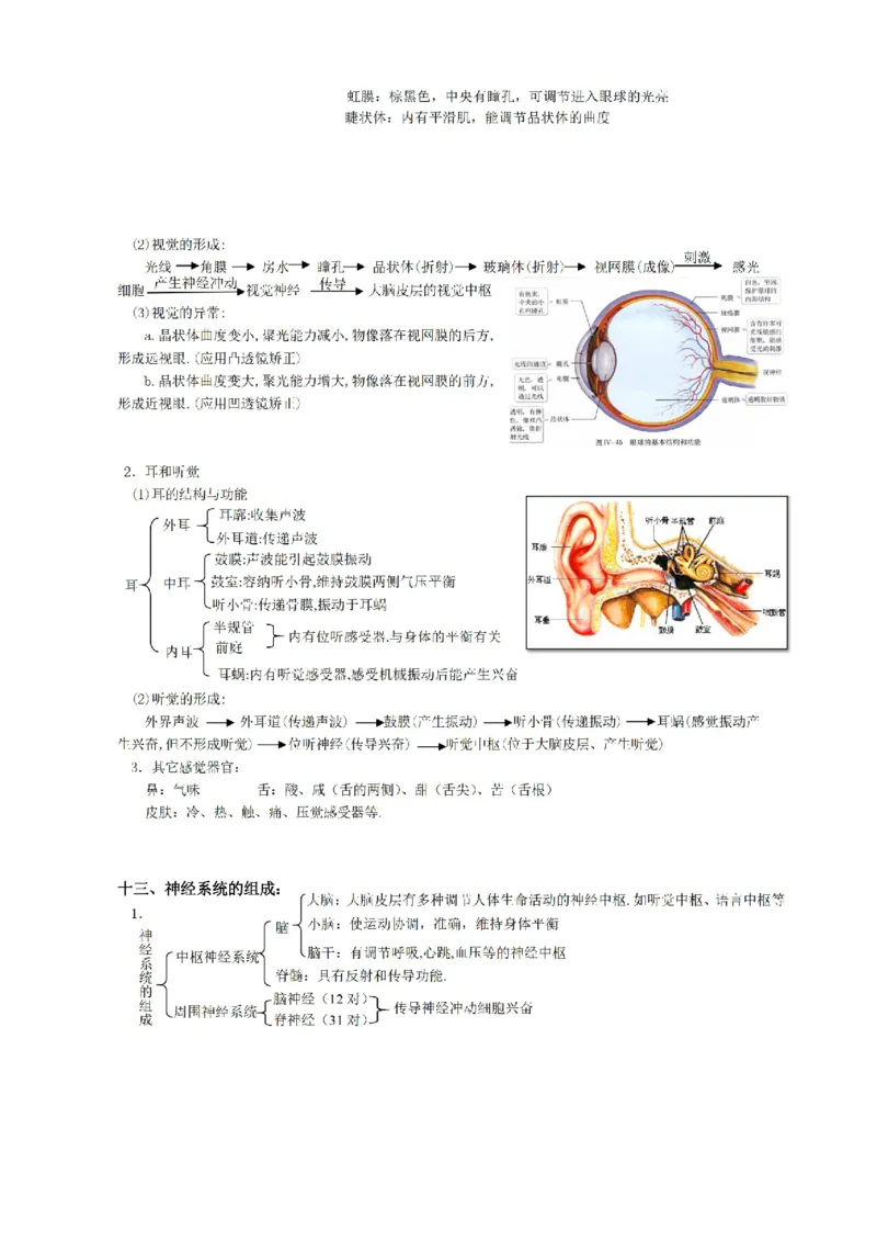 华东师大版初中科学九年级上册知识点_24秋《初中各科知识点梳理》_初中科学《知识梳理》7-9年级上下册_华师大版初中科学7-9年级上下册知识梳理
