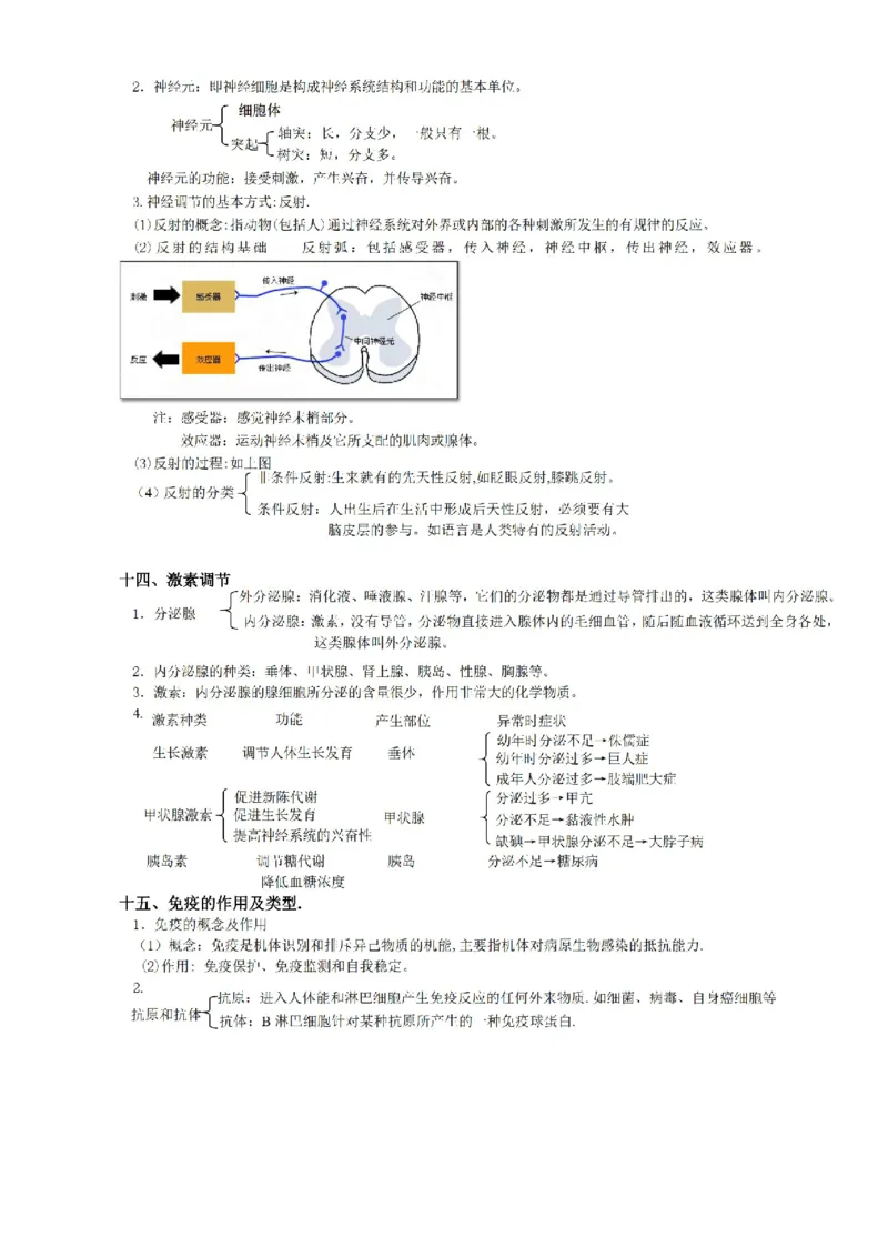 华东师大版初中科学九年级上册知识点_24秋《初中各科知识点梳理》_初中科学《知识梳理》7-9年级上下册_华师大版初中科学7-9年级上下册知识梳理