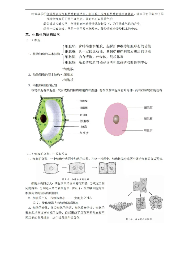 华东师大版初中科学九年级上册知识点_24秋《初中各科知识点梳理》_初中科学《知识梳理》7-9年级上下册_华师大版初中科学7-9年级上下册知识梳理