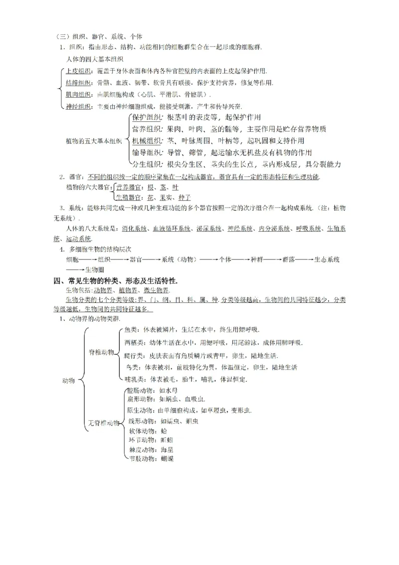 华东师大版初中科学九年级上册知识点_24秋《初中各科知识点梳理》_初中科学《知识梳理》7-9年级上下册_华师大版初中科学7-9年级上下册知识梳理