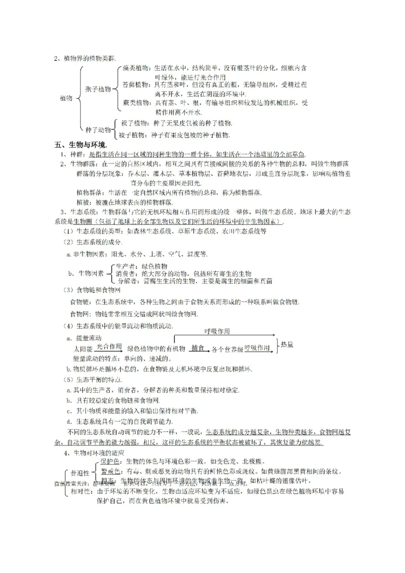 华东师大版初中科学九年级上册知识点_24秋《初中各科知识点梳理》_初中科学《知识梳理》7-9年级上下册_华师大版初中科学7-9年级上下册知识梳理