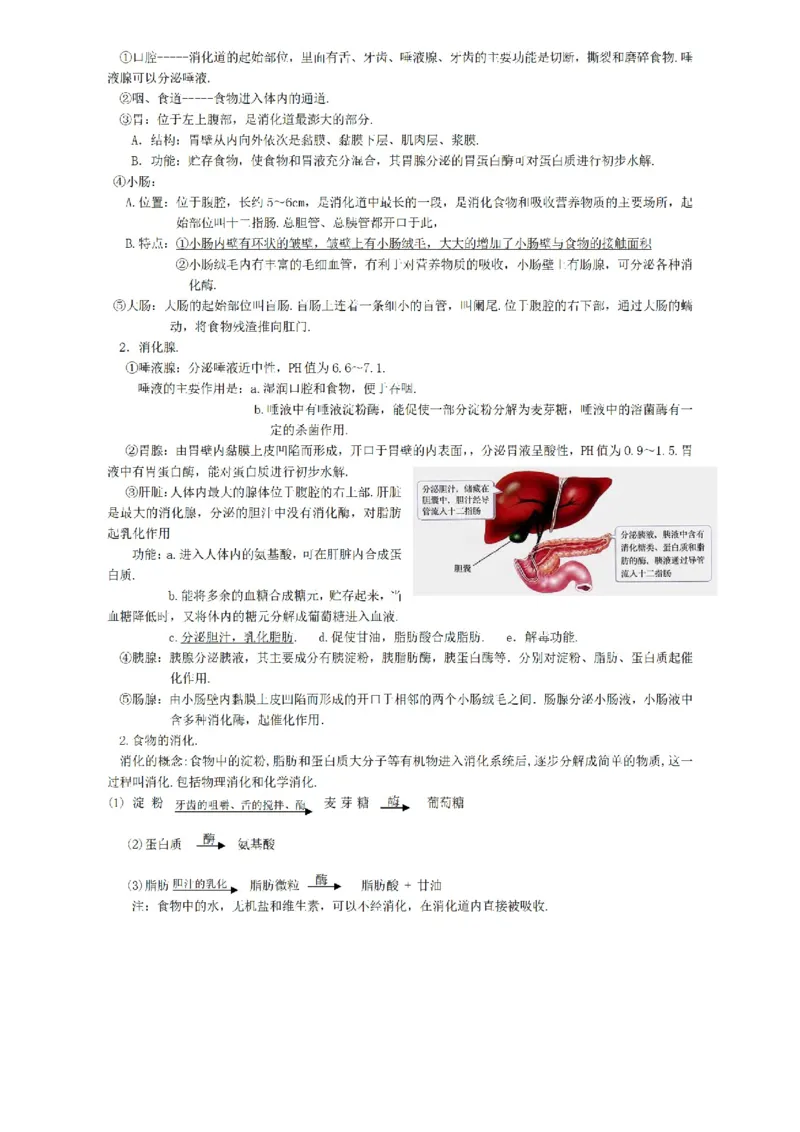 华东师大版初中科学九年级上册知识点_24秋《初中各科知识点梳理》_初中科学《知识梳理》7-9年级上下册_华师大版初中科学7-9年级上下册知识梳理