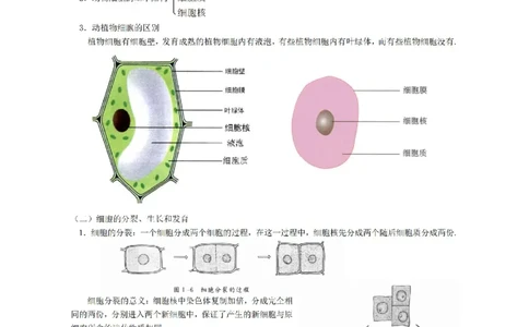 华东师大版初中科学九年级上册知识点_24秋《初中各科知识点梳理》_初中科学《知识梳理》7-9年级上下册_华师大版初中科学7-9年级上下册知识梳理