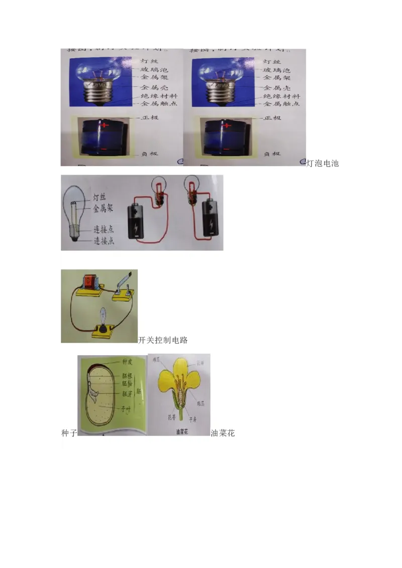 大象版小学科学三年级下册知识点_《小学各科知识点》_小学科学《知识梳理》1-6年级上下册_大象版小学科学1-6年级上下册知识梳理_下册