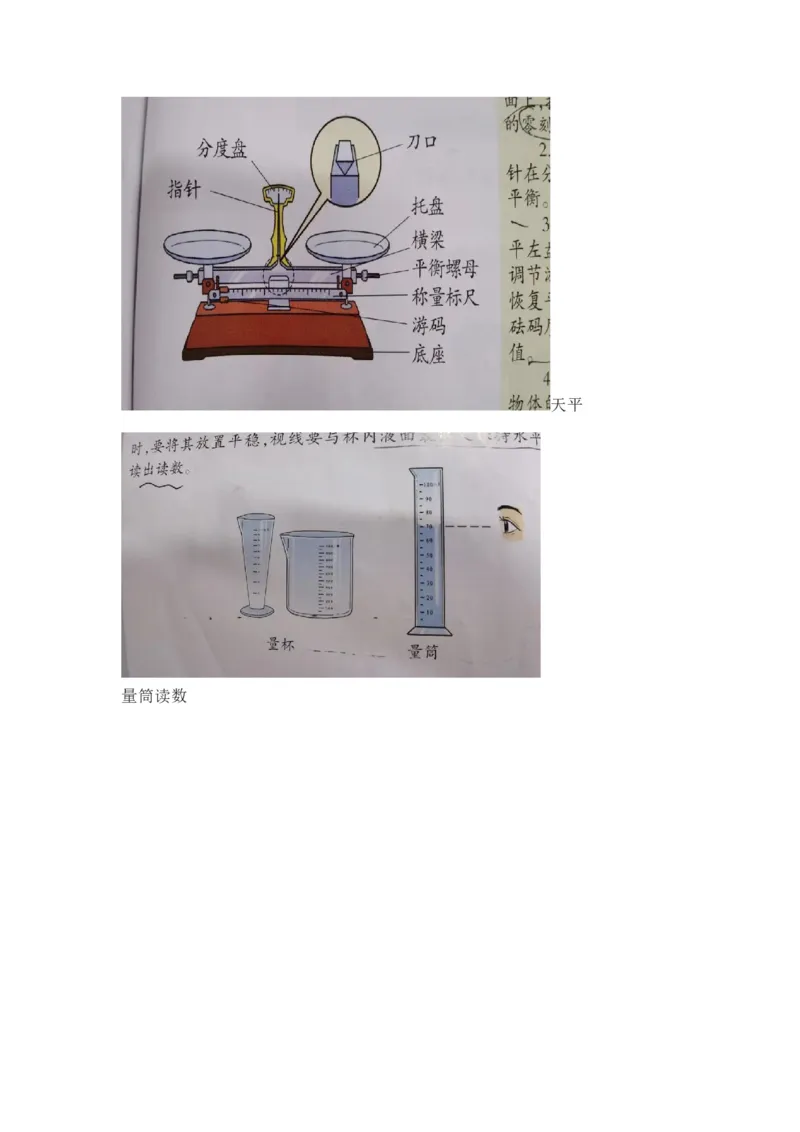大象版小学科学三年级下册知识点_《小学各科知识点》_小学科学《知识梳理》1-6年级上下册_大象版小学科学1-6年级上下册知识梳理_下册