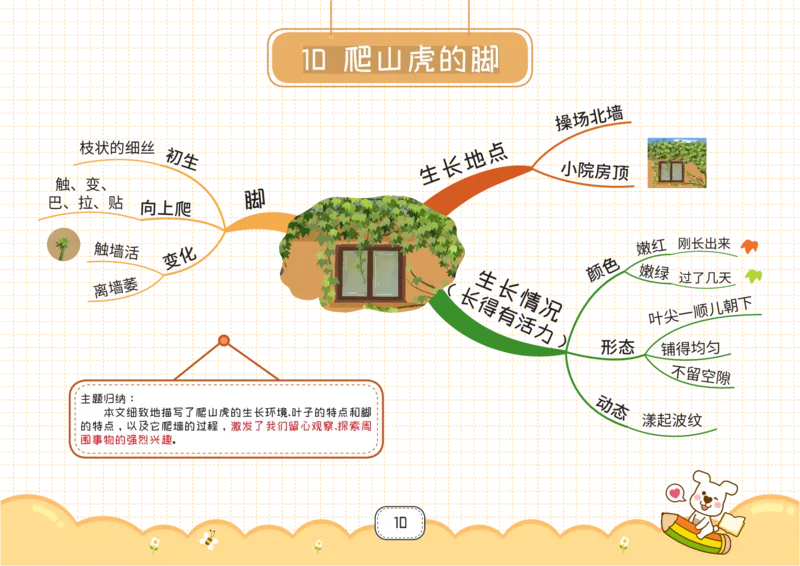 四年级语文上册全课思维导图_《小学思维导图》_语文思维导图_小学语文思维导图（课文思维导图）