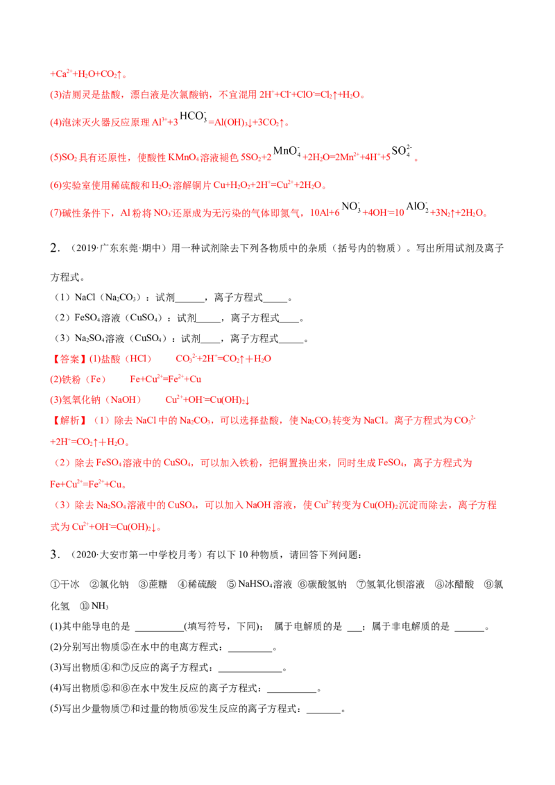 1.2.2离子反应（精讲）-（人教版）解析版_高化_595801221724高中化学新人教版选择性必修一二三电子版教案PPT课件高中试卷_必修一册（人教版）_专项练习