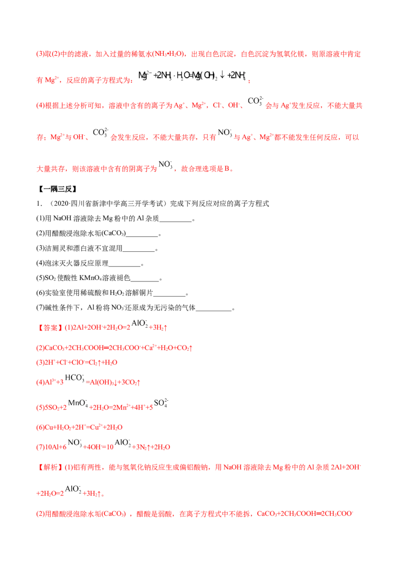 1.2.2离子反应（精讲）-（人教版）解析版_高化_595801221724高中化学新人教版选择性必修一二三电子版教案PPT课件高中试卷_必修一册（人教版）_专项练习