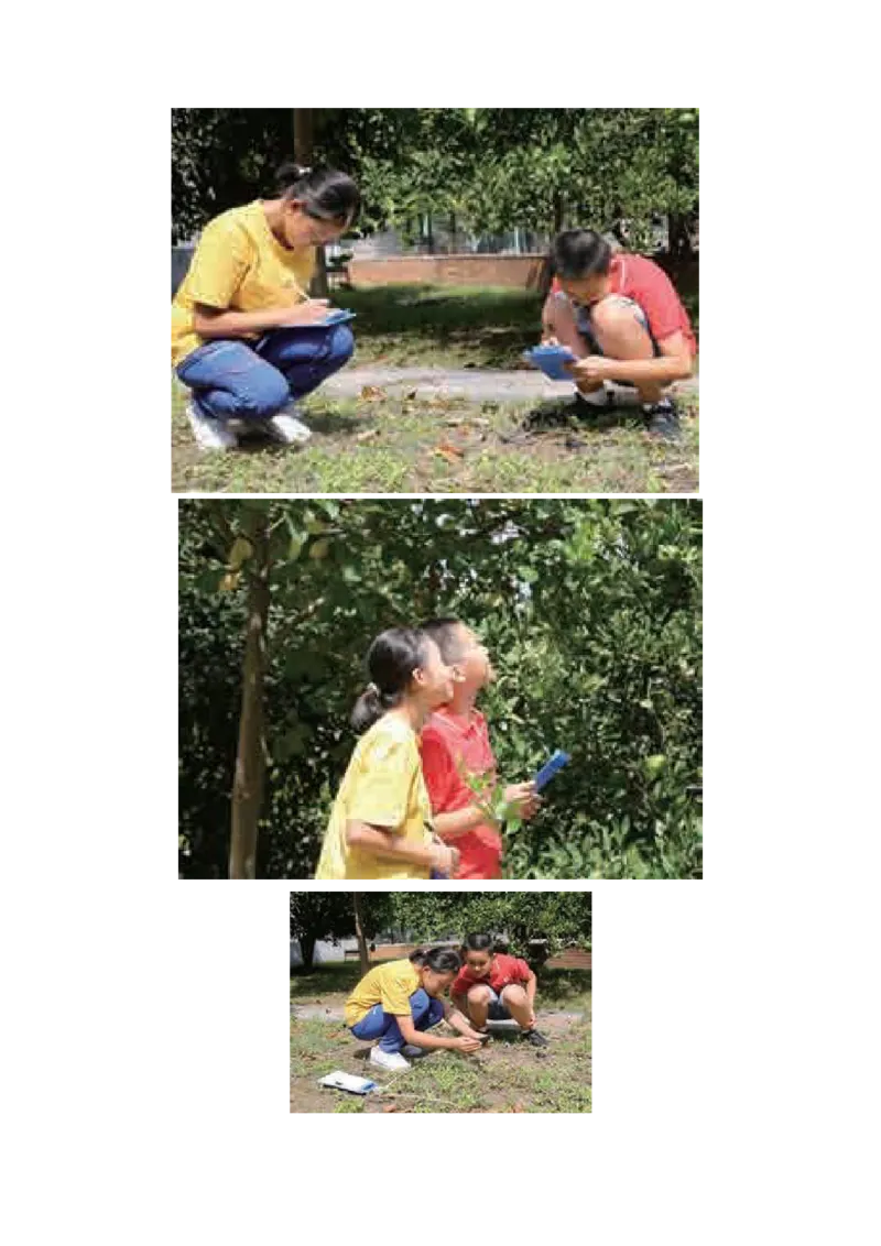 教科版六下科学知识点归纳_《小学各科知识点》_小学科学《知识梳理》1-6年级上下册_教科版小学科学1-6年级上下册知识梳理_下册