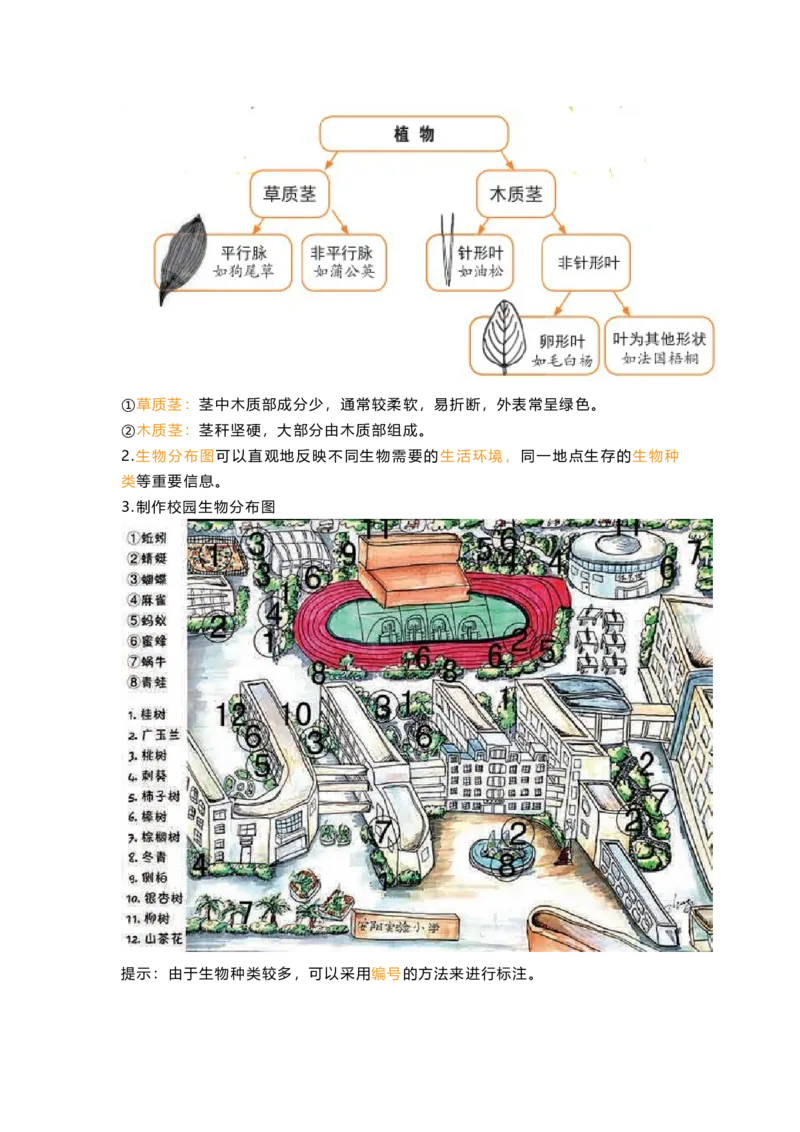 教科版六下科学知识点归纳_《小学各科知识点》_小学科学《知识梳理》1-6年级上下册_教科版小学科学1-6年级上下册知识梳理_下册