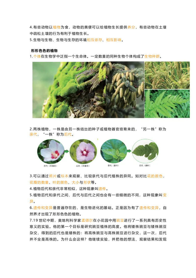 教科版六下科学知识点归纳_《小学各科知识点》_小学科学《知识梳理》1-6年级上下册_教科版小学科学1-6年级上下册知识梳理_下册