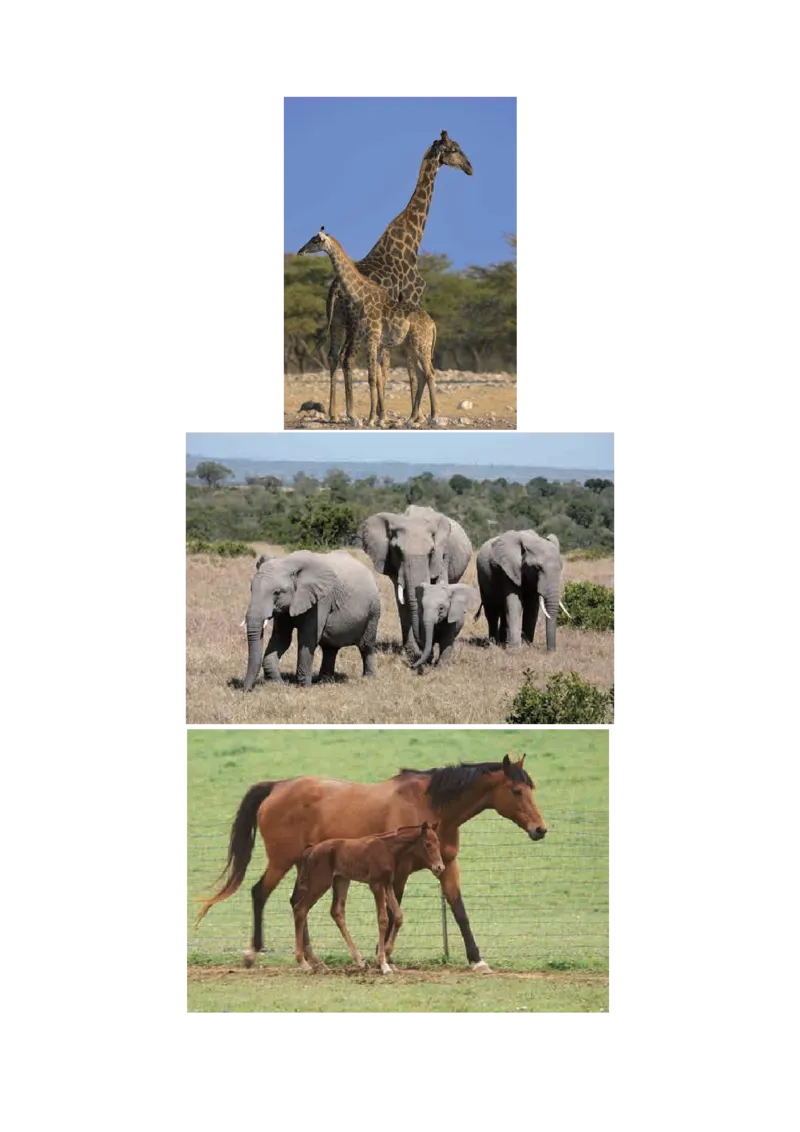 教科版六下科学知识点归纳_《小学各科知识点》_小学科学《知识梳理》1-6年级上下册_教科版小学科学1-6年级上下册知识梳理_下册