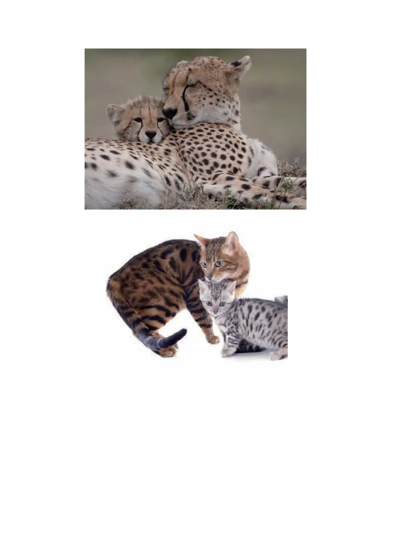 教科版六下科学知识点归纳_《小学各科知识点》_小学科学《知识梳理》1-6年级上下册_教科版小学科学1-6年级上下册知识梳理_下册