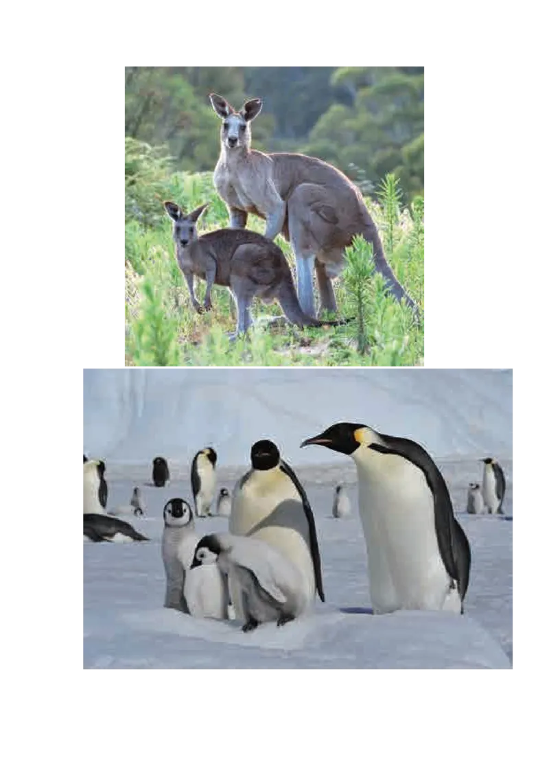 教科版六下科学知识点归纳_《小学各科知识点》_小学科学《知识梳理》1-6年级上下册_教科版小学科学1-6年级上下册知识梳理_下册