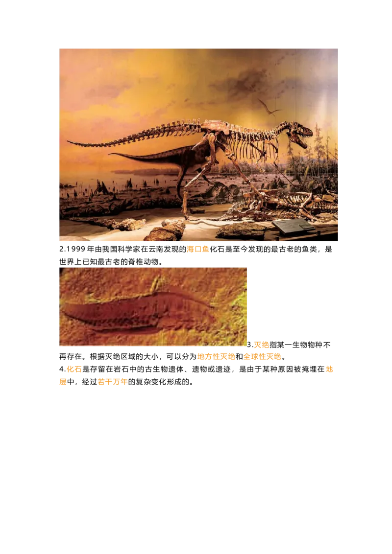 教科版六下科学知识点归纳_《小学各科知识点》_小学科学《知识梳理》1-6年级上下册_教科版小学科学1-6年级上下册知识梳理_下册