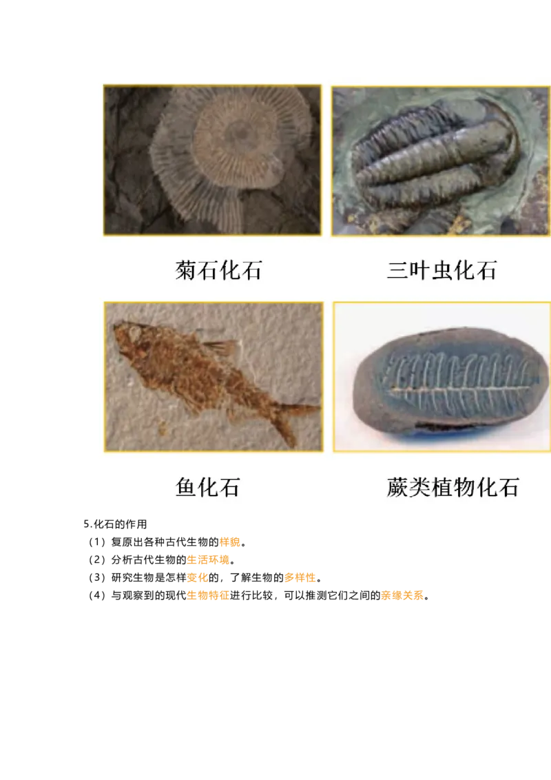教科版六下科学知识点归纳_《小学各科知识点》_小学科学《知识梳理》1-6年级上下册_教科版小学科学1-6年级上下册知识梳理_下册