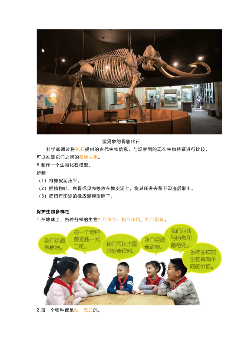 教科版六下科学知识点归纳_《小学各科知识点》_小学科学《知识梳理》1-6年级上下册_教科版小学科学1-6年级上下册知识梳理_下册