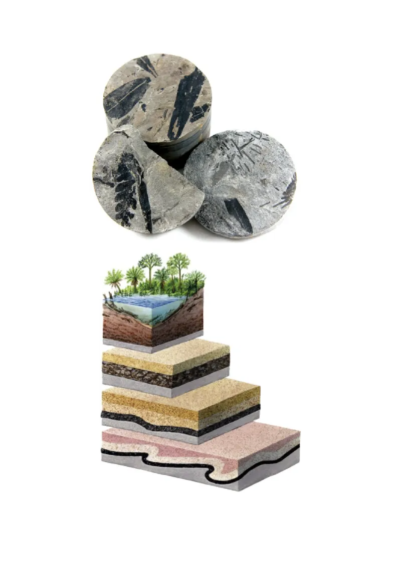 教科版六下科学知识点归纳_《小学各科知识点》_小学科学《知识梳理》1-6年级上下册_教科版小学科学1-6年级上下册知识梳理_下册