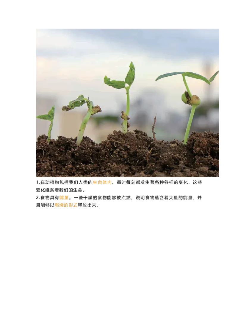 教科版六下科学知识点归纳_《小学各科知识点》_小学科学《知识梳理》1-6年级上下册_教科版小学科学1-6年级上下册知识梳理_下册