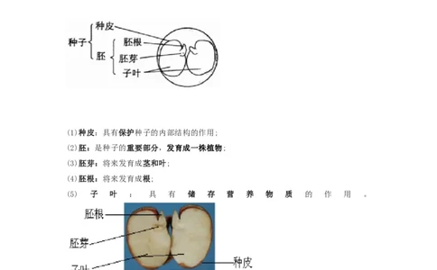 教科版四下科学知识点归纳_《小学各科知识点》_小学科学《知识梳理》1-6年级上下册_教科版小学科学1-6年级上下册知识梳理_下册