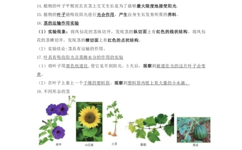 教科版四下科学知识点归纳_《小学各科知识点》_小学科学《知识梳理》1-6年级上下册_教科版小学科学1-6年级上下册知识梳理_下册