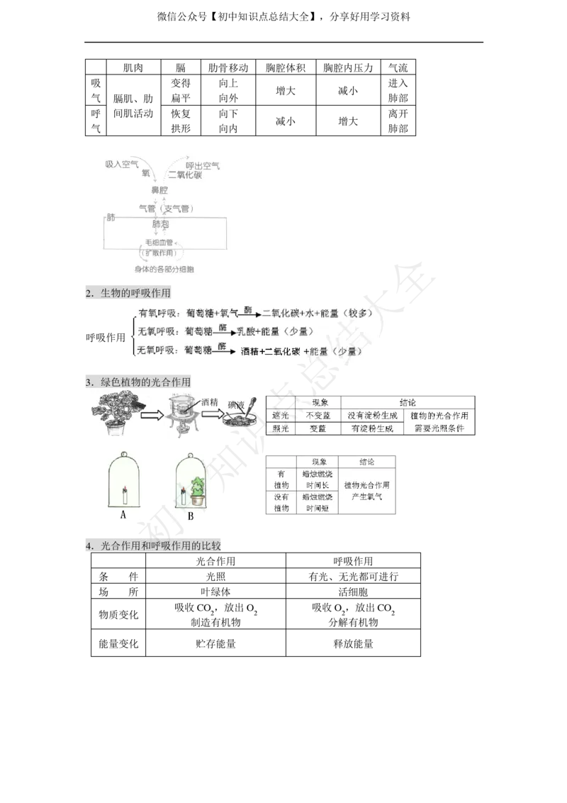 华师大版科学中考复习资料(分册知识点归纳)_24秋《初中各科知识点梳理》_初中科学《知识梳理》7-9年级上下册_华师大版初中科学7-9年级上下册知识梳理