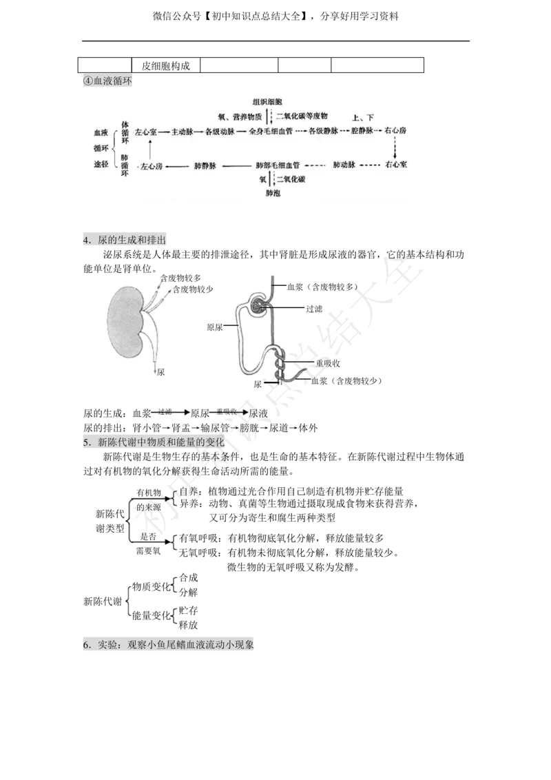 华师大版科学中考复习资料(分册知识点归纳)_24秋《初中各科知识点梳理》_初中科学《知识梳理》7-9年级上下册_华师大版初中科学7-9年级上下册知识梳理