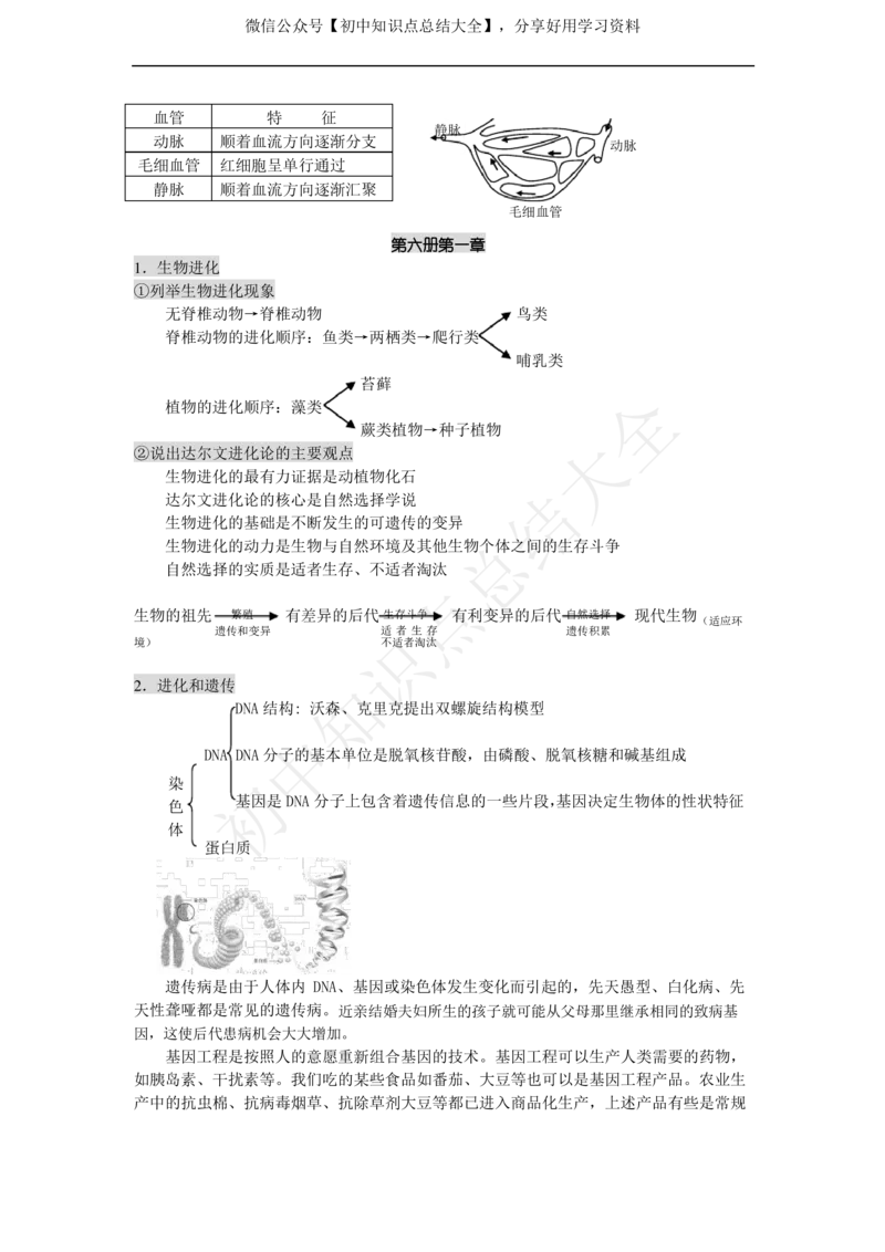 华师大版科学中考复习资料(分册知识点归纳)_24秋《初中各科知识点梳理》_初中科学《知识梳理》7-9年级上下册_华师大版初中科学7-9年级上下册知识梳理