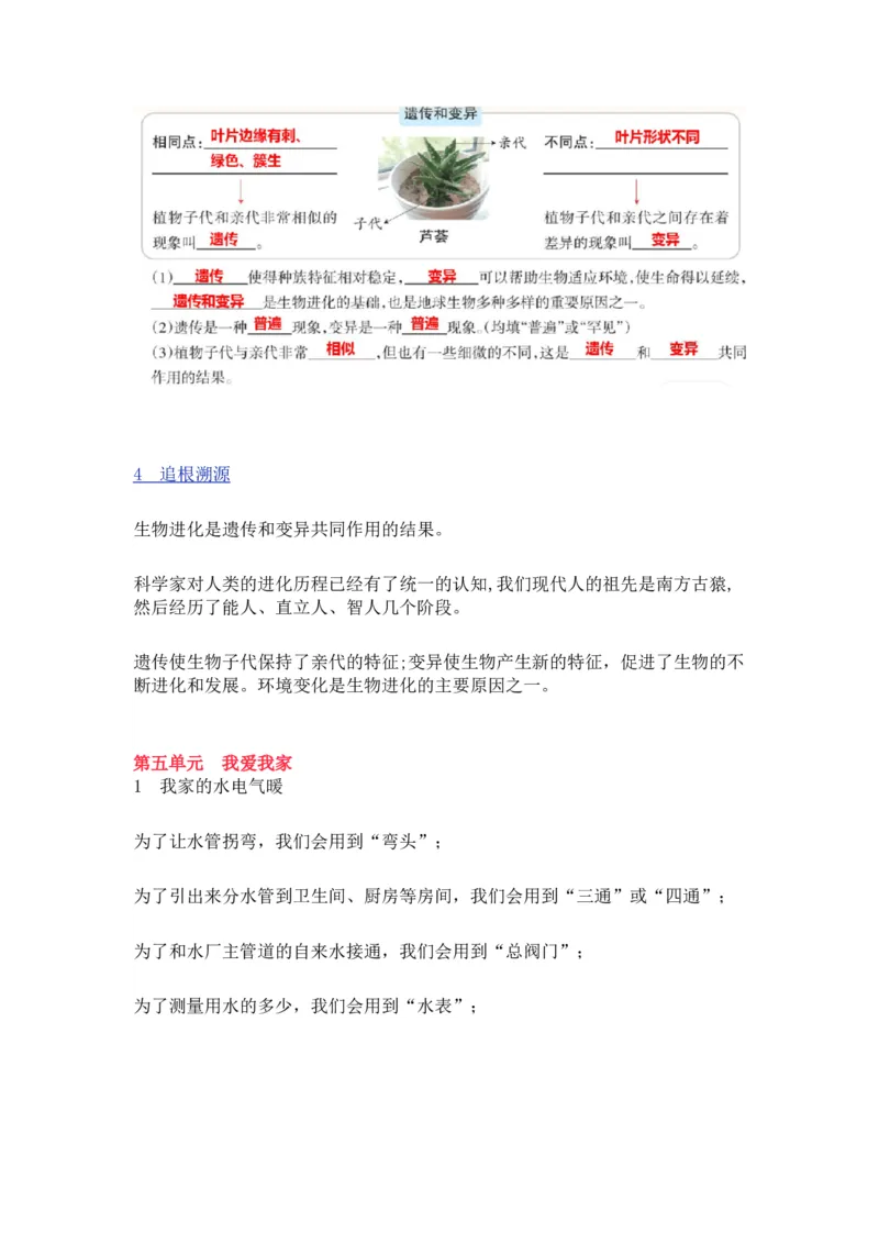 大象版六年级科学上册知识点总结_《小学各科知识点》_小学科学《知识梳理》1-6年级上下册_大象版小学科学1-6年级上下册知识梳理_上册