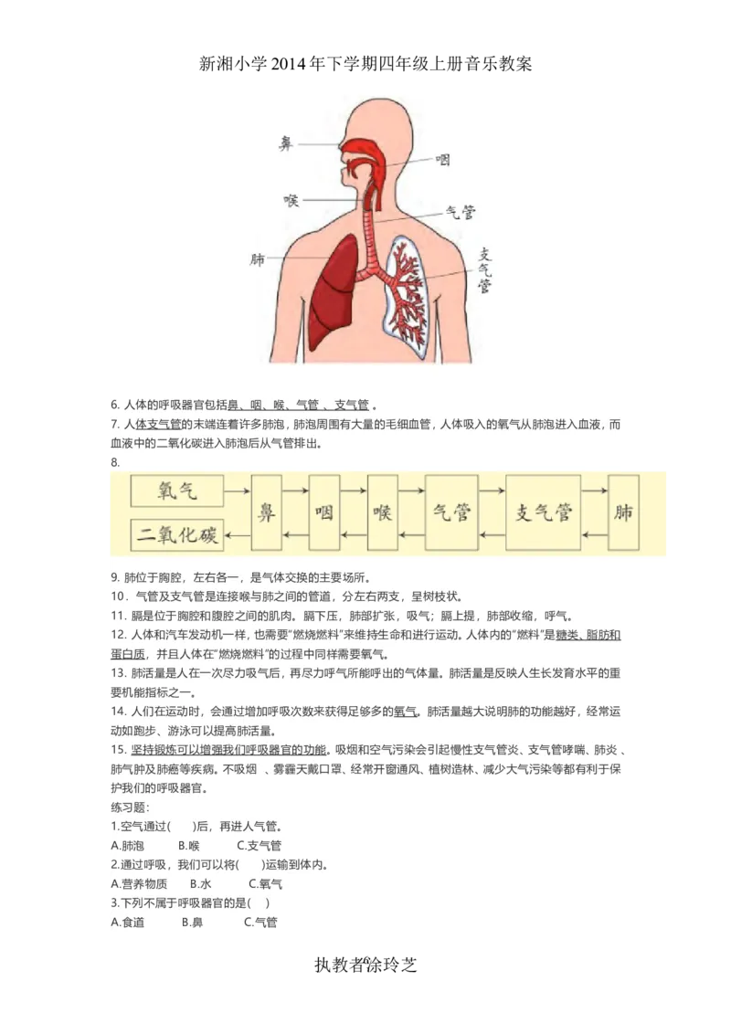 新大象版科学四年级上册全册知识点总结+练习题_《小学各科知识点》_小学科学《知识梳理》1-6年级上下册_大象版小学科学1-6年级上下册知识梳理_上册