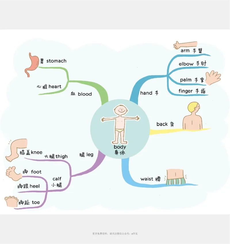 思维导图82张全彩漫画思维导图，含1100个小学生必记单词！_《小学思维导图》_思维导图语数英第二套_英语_82张小学英语全彩漫画思维导图