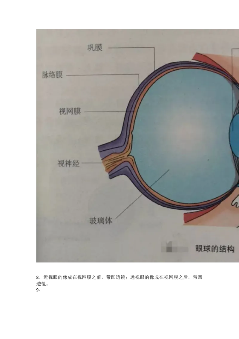 冀少版初中生物七年级下册知识点_24秋《初中各科知识点梳理》_初中生物《知识梳理》7-8年级上下册_冀少版初中生物7-8年级上下册知识点