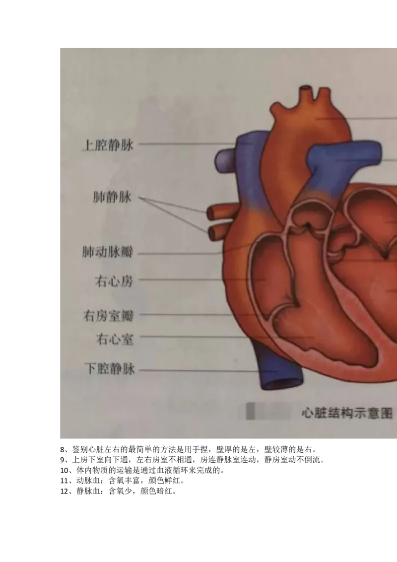 冀少版初中生物七年级下册知识点_24秋《初中各科知识点梳理》_初中生物《知识梳理》7-8年级上下册_冀少版初中生物7-8年级上下册知识点