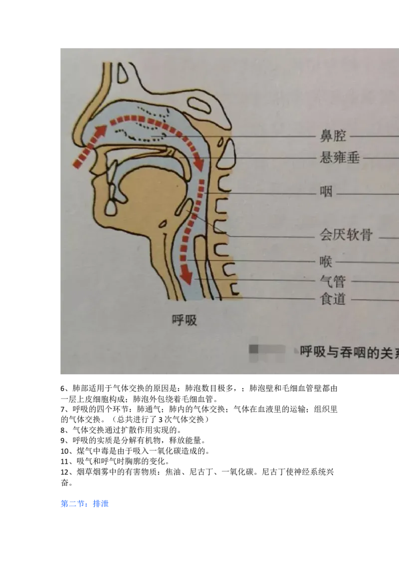 冀少版初中生物七年级下册知识点_24秋《初中各科知识点梳理》_初中生物《知识梳理》7-8年级上下册_冀少版初中生物7-8年级上下册知识点