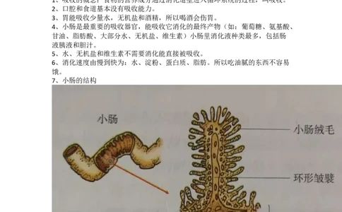 冀少版初中生物七年级下册知识点_24秋《初中各科知识点梳理》_初中生物《知识梳理》7-8年级上下册_冀少版初中生物7-8年级上下册知识点