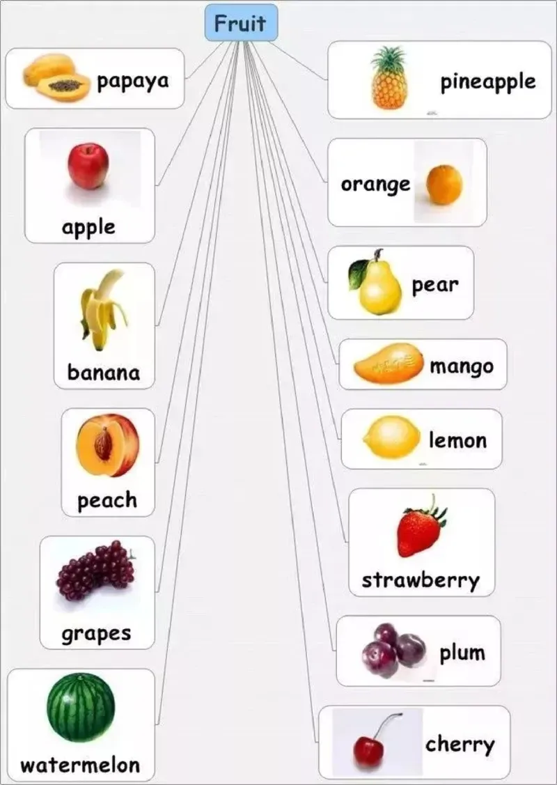 小学英语思维导图-知识点归纳_《小学思维导图》_英语思维导图