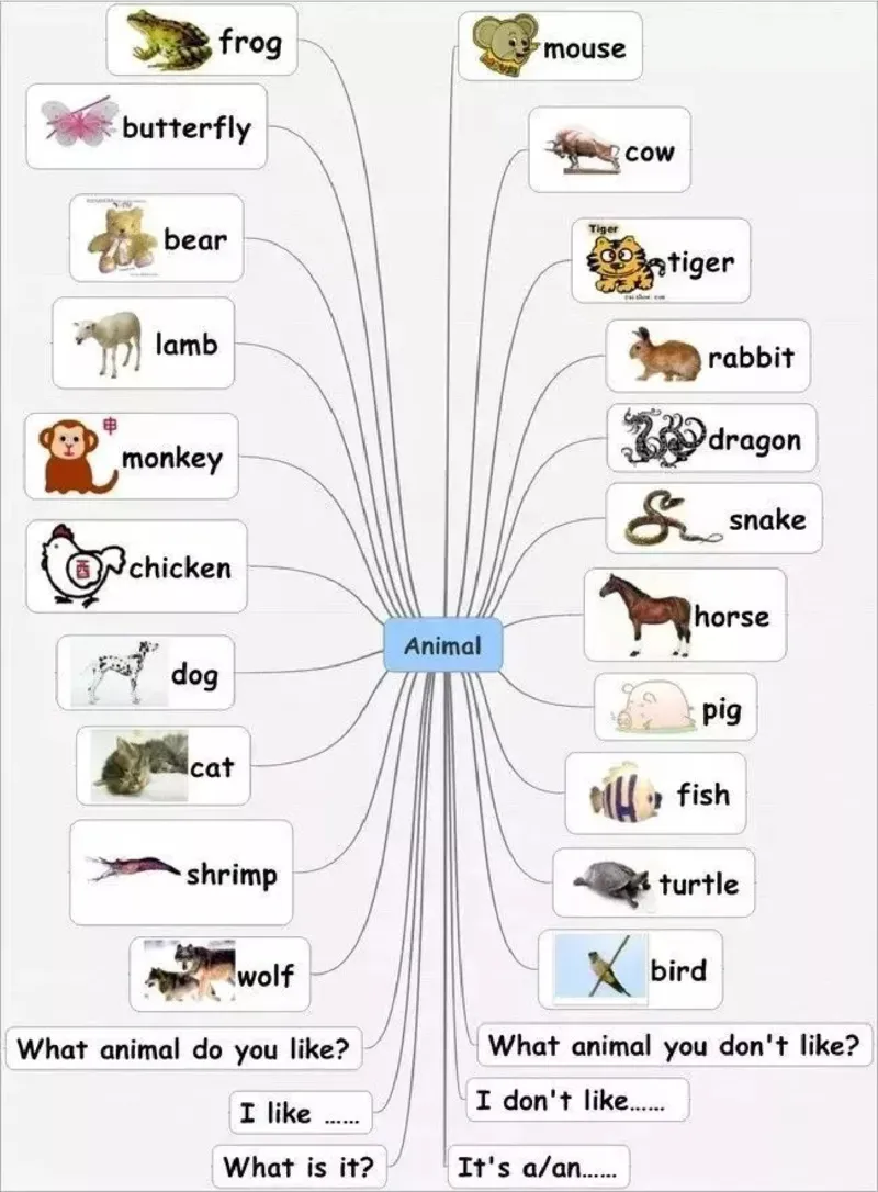 小学英语思维导图-知识点归纳_《小学思维导图》_英语思维导图