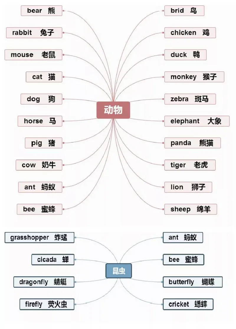 小学英语思维导图-知识点归纳_《小学思维导图》_英语思维导图