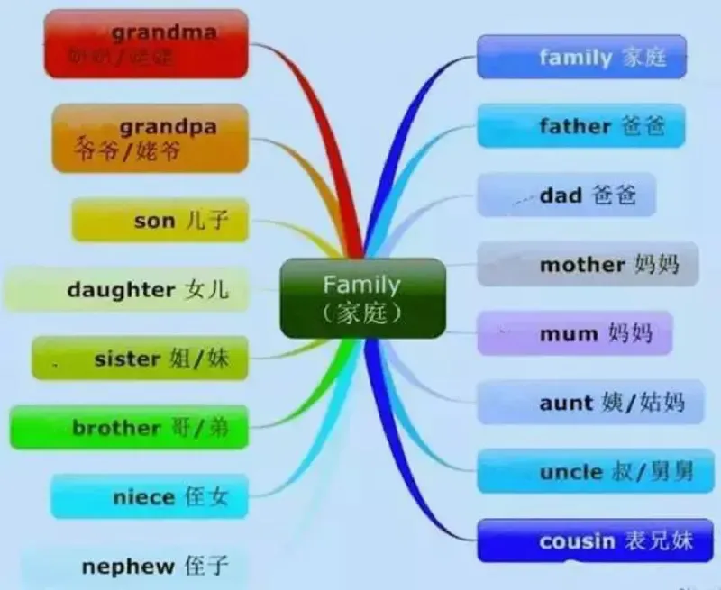 小学英语思维导图-知识点归纳_《小学思维导图》_英语思维导图