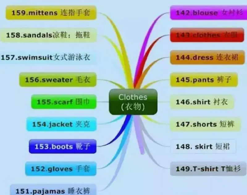 小学英语思维导图-知识点归纳_《小学思维导图》_英语思维导图