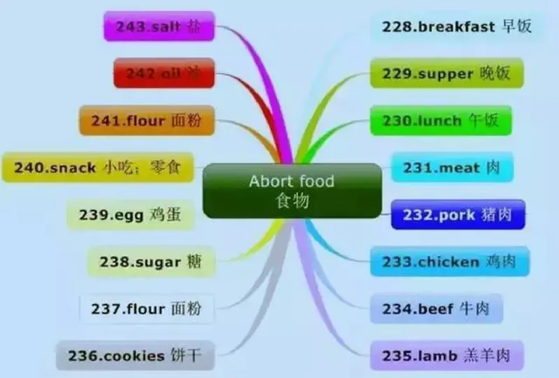 小学英语思维导图-知识点归纳_《小学思维导图》_英语思维导图