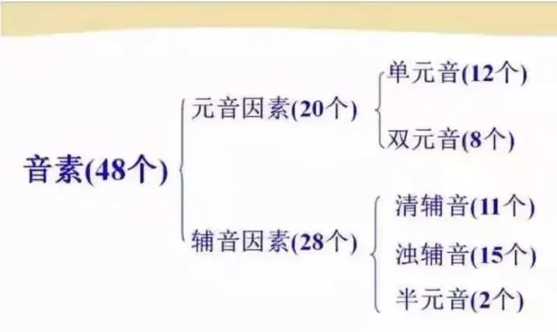 小学英语思维导图-知识点归纳_《小学思维导图》_英语思维导图