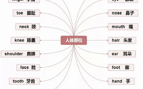 小学英语思维导图-知识点归纳_《小学思维导图》_英语思维导图