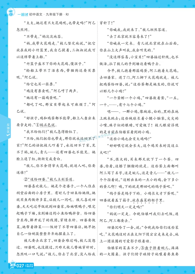 2026《初中语文&bull;一遍过》9年级下册_2026春《初中一遍过》系列_2026《天星教育&bull;一遍过》（9年级下册）（语文）（RJ）