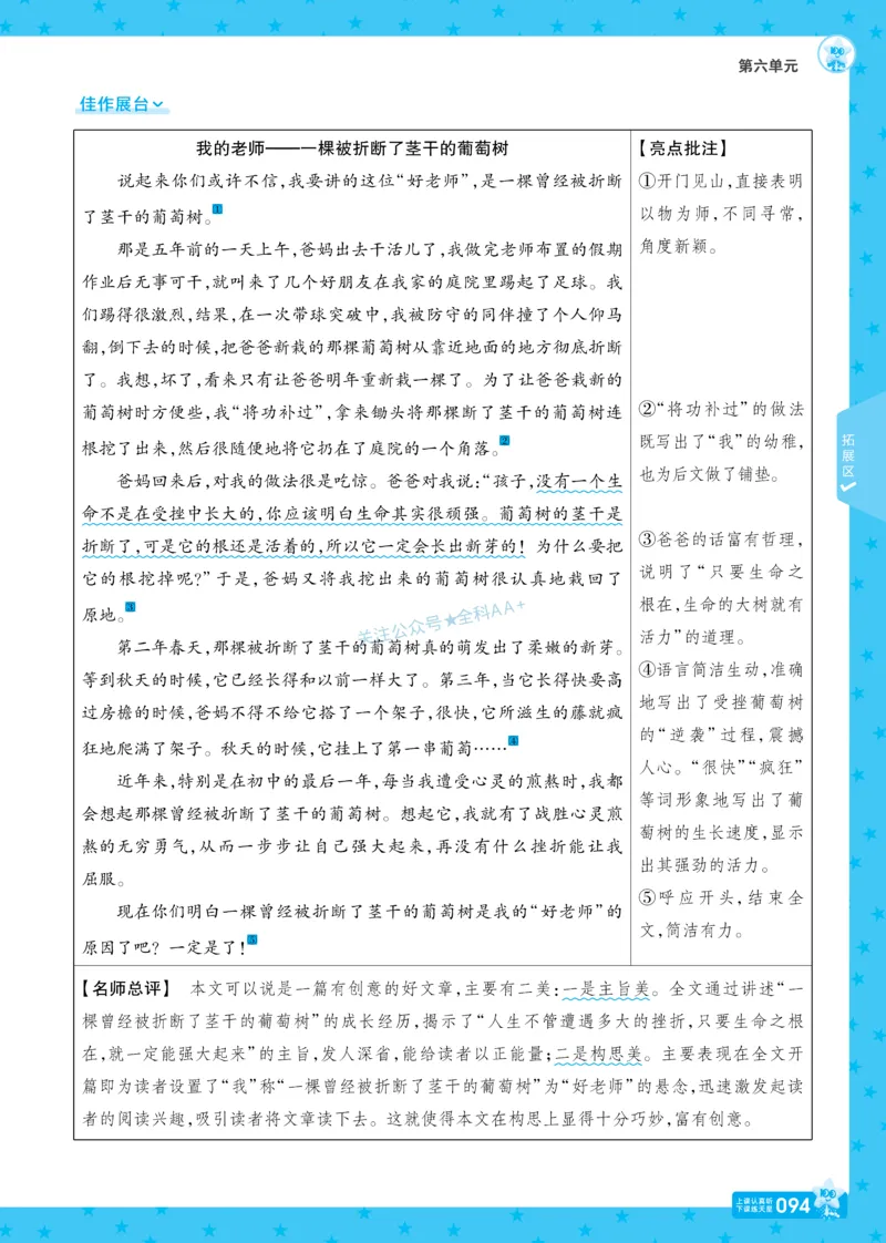 2026《初中语文&bull;一遍过》9年级下册_2026春《初中一遍过》系列_2026《天星教育&bull;一遍过》（9年级下册）（语文）（RJ）