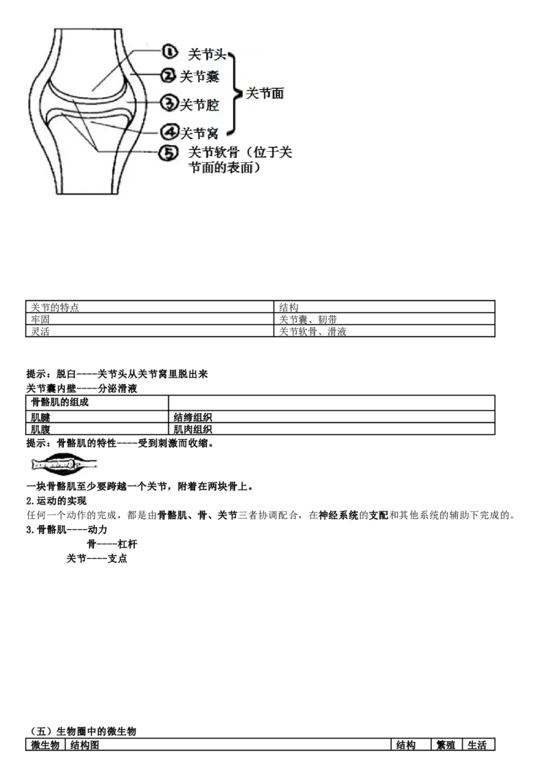 济南版初中生物七上知识点_24秋《初中各科知识点梳理》_初中生物《知识梳理》7-8年级上下册_济南版初中生物7-8年级上下册知识点